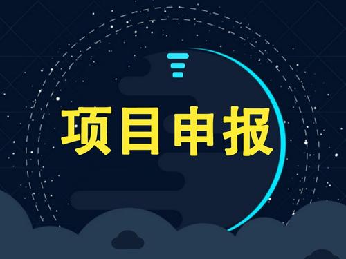 怎样提高龙岩政府项目申报成功率