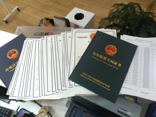 分析有哪些是龙岩专利申请从战略性方面来看的优势