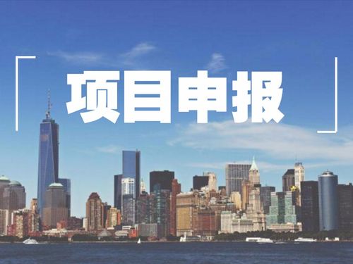 分析龙岩政府项目申报有哪些项目