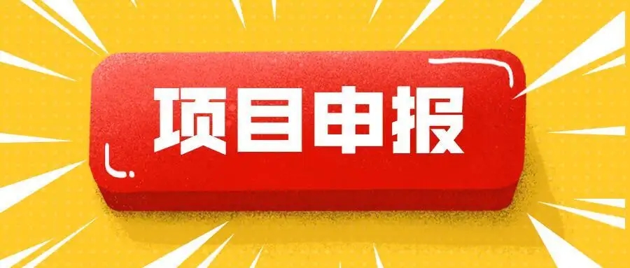 怎样提升龙岩政府项目申报成功率